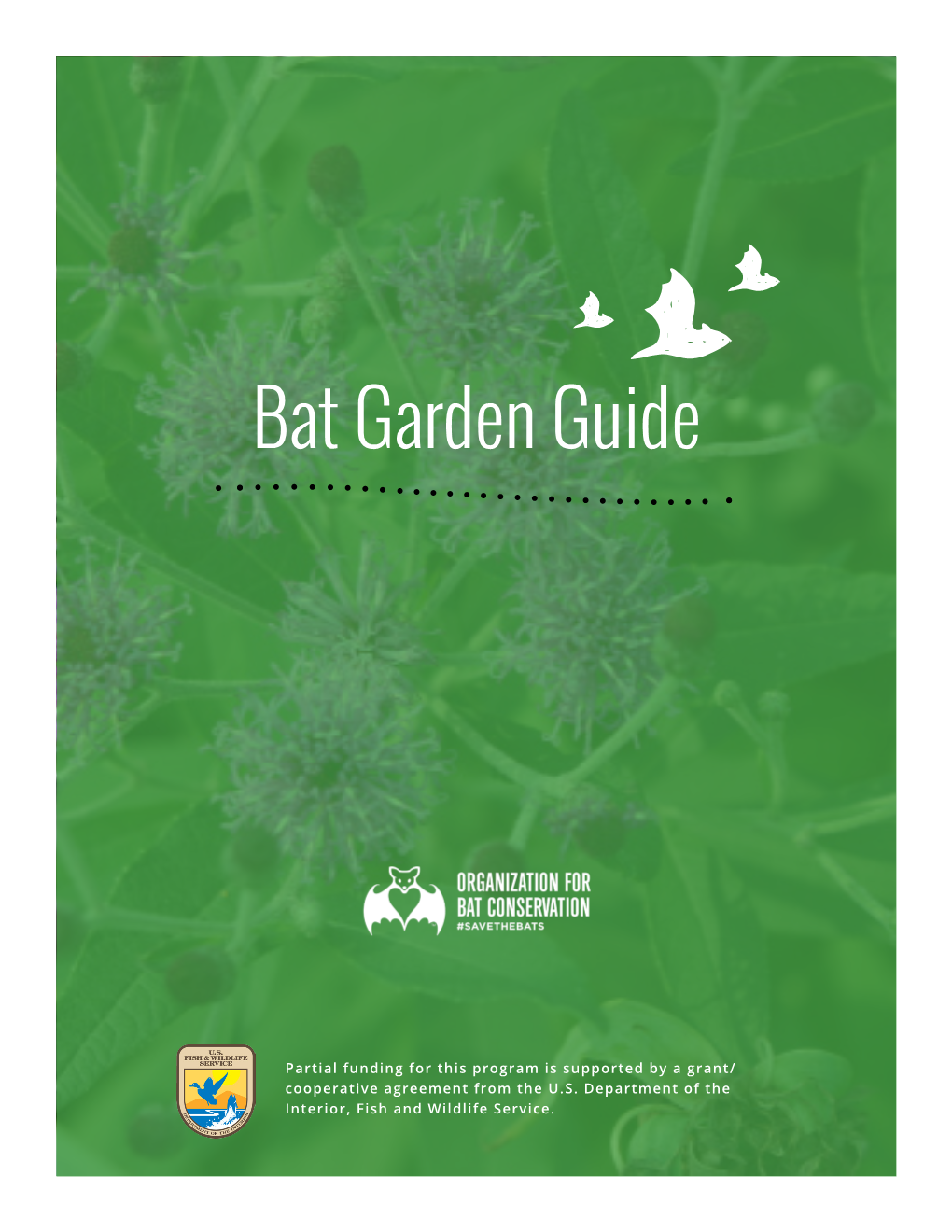 Bat Garden Guide