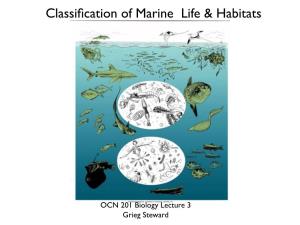 Classification of Marine Life & Habitats
