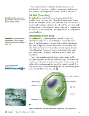 Cell Wall (Plants Only) Chloroplasts (Plants Only)