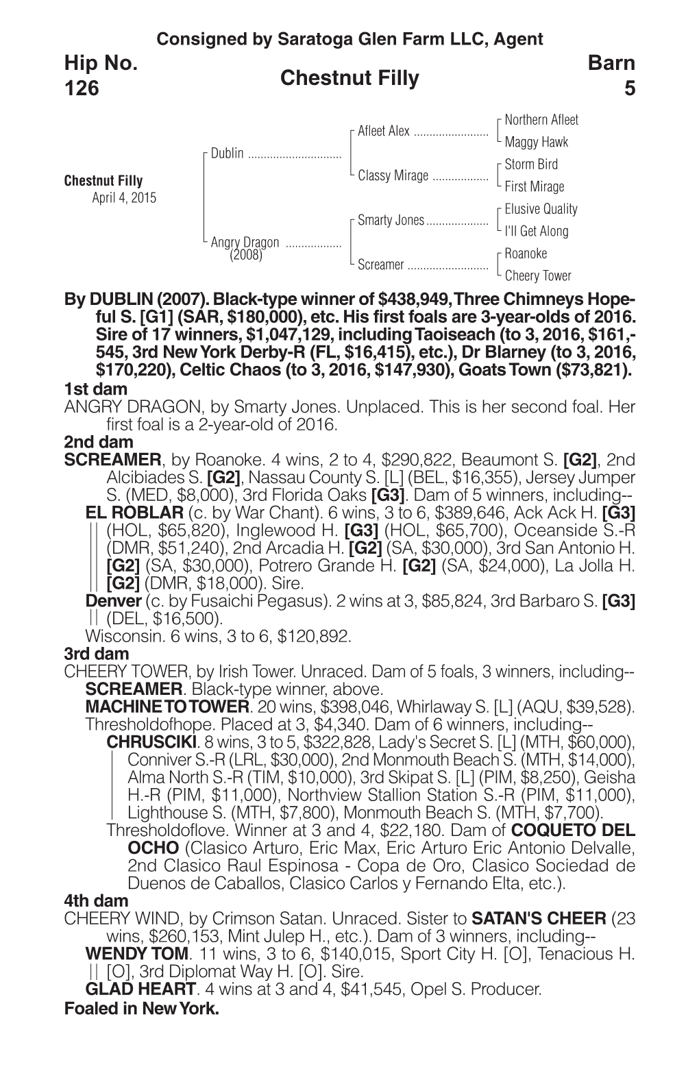 Chestnut Filly Barn 5 Hip No