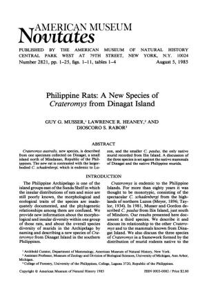 Philippine Rats: a New Species of Crateromys from Dinagat Island