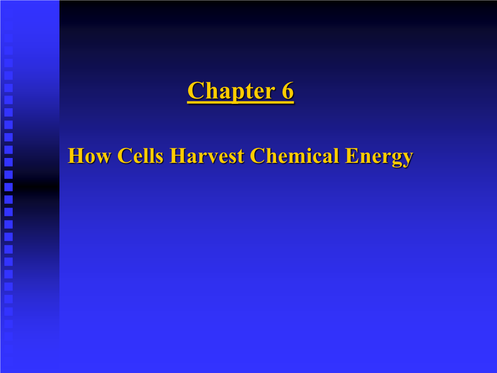 C. Electron Transport Chain & Chemiosmosis