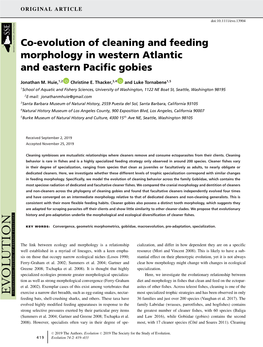 Evolution of Cleaning and Feeding Morphology in Western Atlantic and Eastern Pacific Gobies