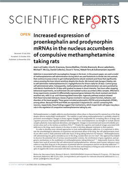 Increased Expression of Proenkephalin and Prodynorphin