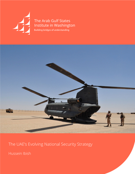 The UAE's Evolving National Security Strategy
