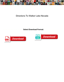 Directions to Walker Lake Nevada