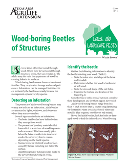 S Wood-Boring Beetles of Structures