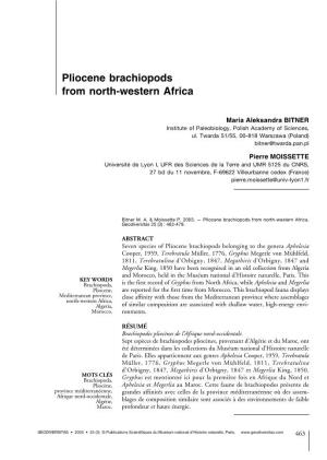 Pliocene Brachiopods from North-Western Africa