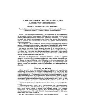 LEUKOCYTE SURFACE ORIGIN of HUMAN At-ACID GLYCOPROTEIN (OROSOMUCOID)*