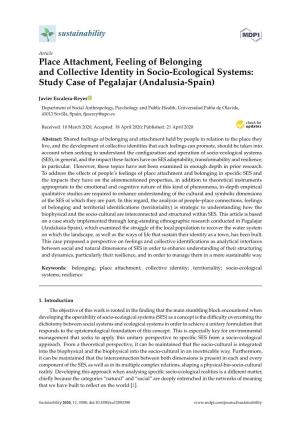 Place Attachment, Feeling of Belonging and Collective Identity in Socio-Ecological Systems: Study Case of Pegalajar (Andalusia-Spain)