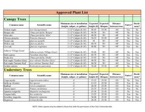 Canopy Trees Understory Trees Approved Plant List