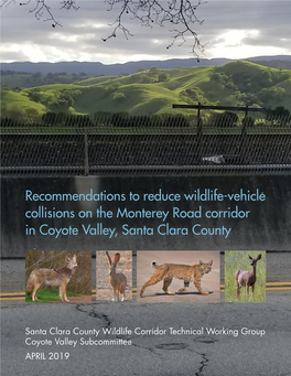 Recommendations to Reduce Wildlife-Vehicle Collisions on the Monterey Road Corridor in Coyote Valley, Santa Clara County