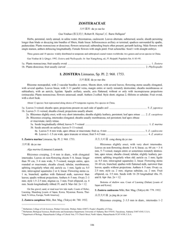 Zosteraceae (PDF)