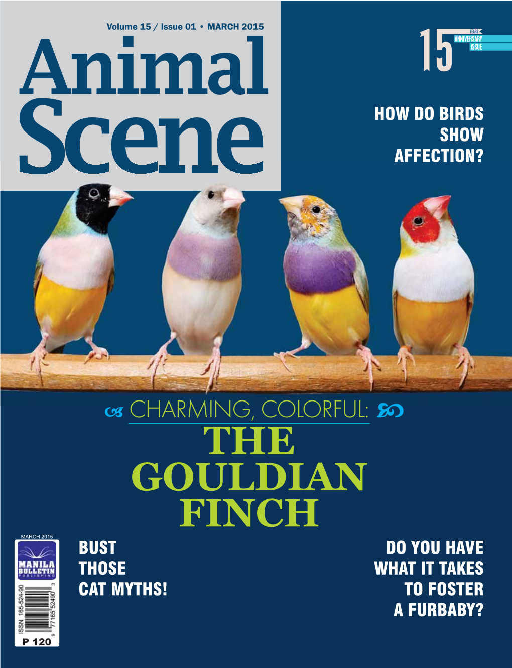 The Gouldian Finch March 2015 Bust Do You Have Those What It Takes Cat Myths! to Foster a Furbaby?
