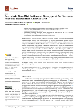 Enterotoxin Gene Distribution and Genotypes of Bacillus Cereus Sensu Lato Isolated from Cassava Starch
