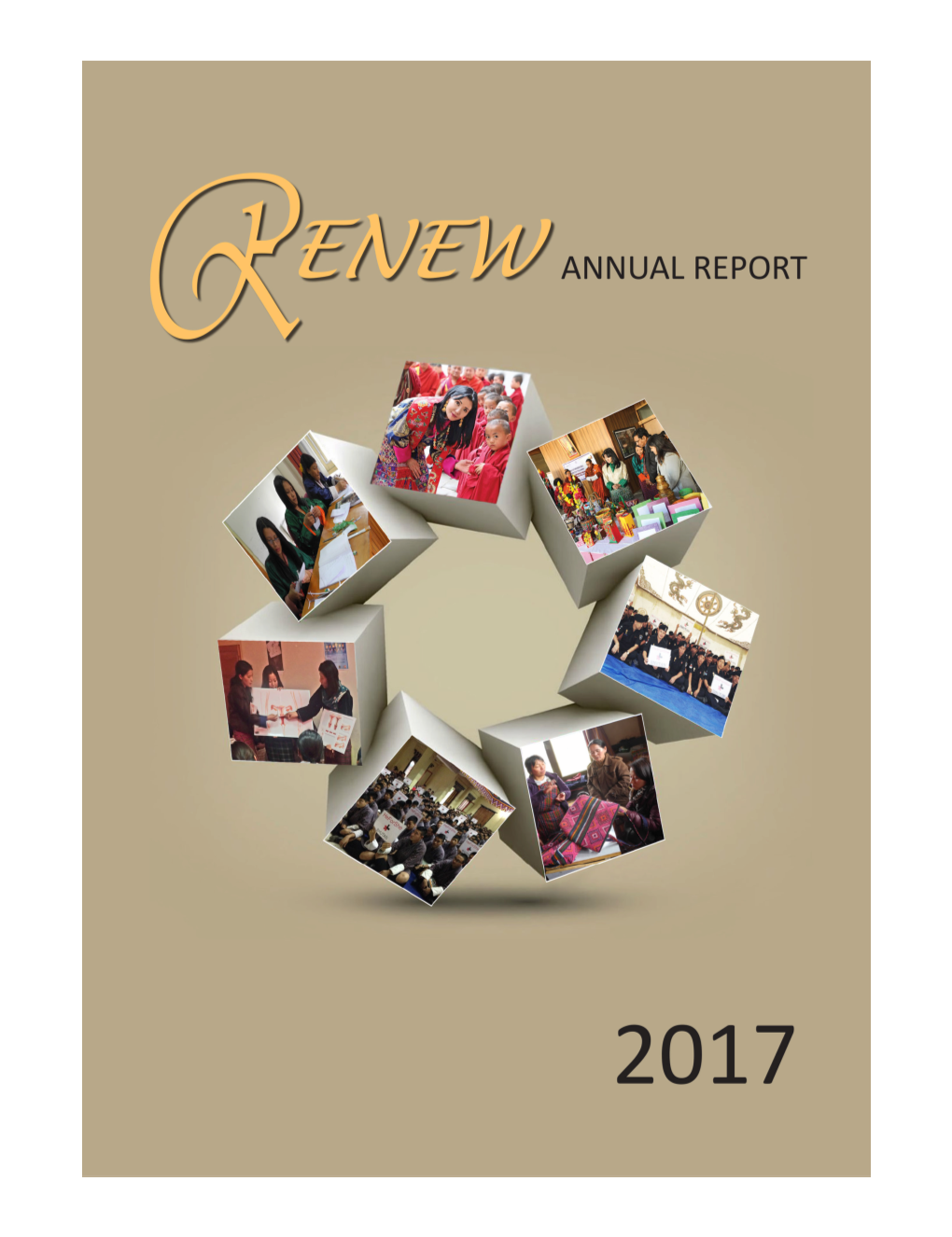 RENEW Annual Report 2017