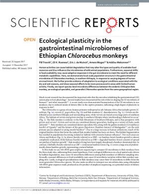 Ecological Plasticity in the Gastrointestinal Microbiomes of Ethiopian Chlorocebus Monkeys Received: 22 August 2017 Pål Trosvik1, Eli K