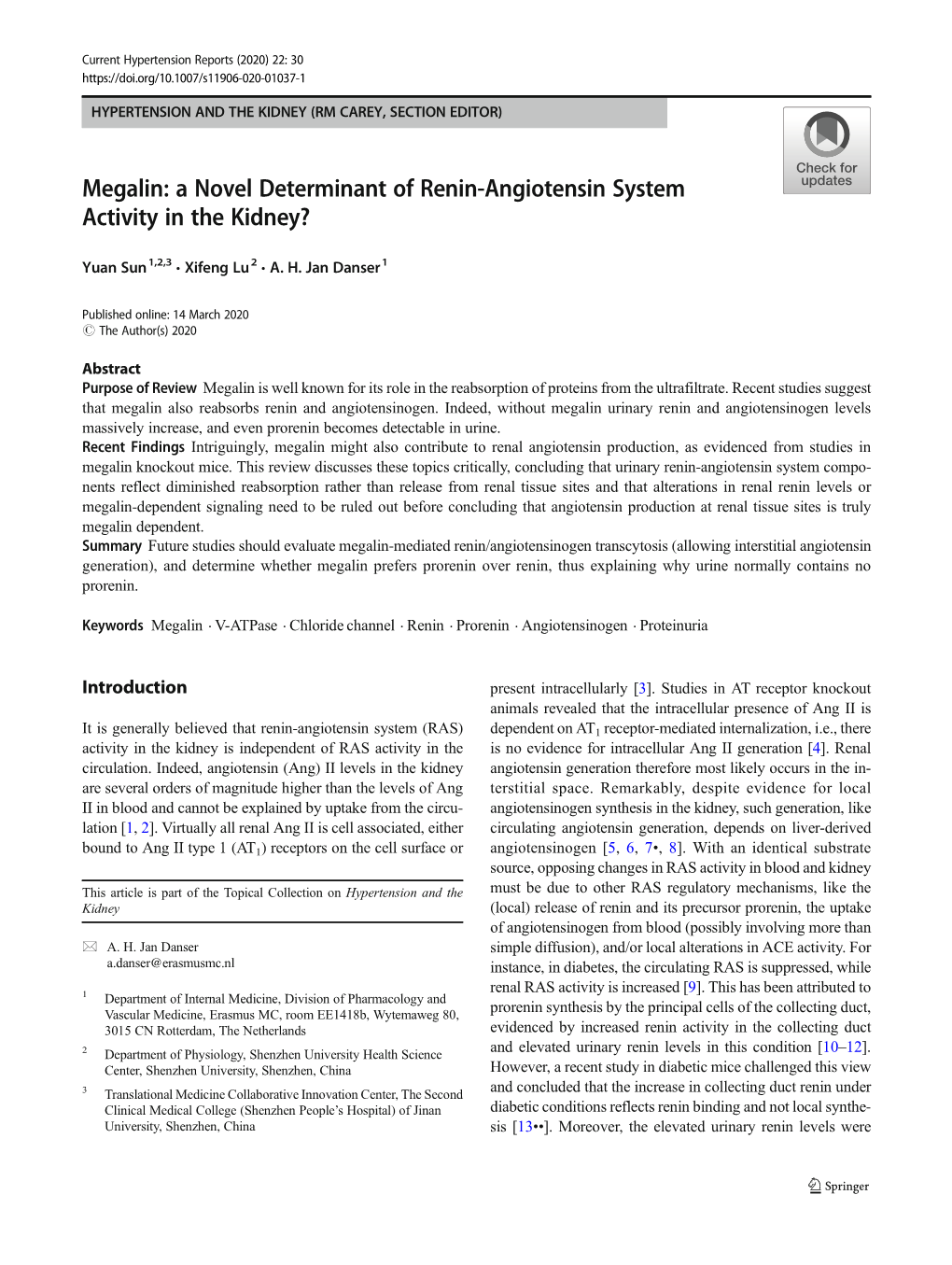 Megalin: a Novel Determinant of Renin-Angiotensin System Activity in the Kidney?