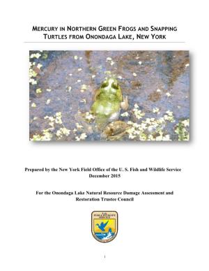 Mercury in Northern Green Frogs and Snapping Turtles from Onondaga Lake, New York