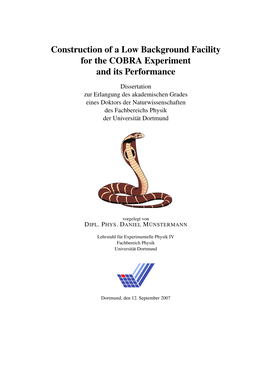 Construction of a Low Background Facility for the COBRA Experiment and Its Performance