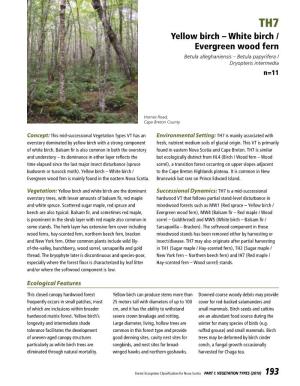 Yellow Birch – White Birch / Evergreen Wood Fern Betula Alleghaniensis – Betula Papyrifera / Dryopteris Intermedia N=11