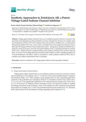 Synthetic Approaches to Zetekitoxin AB, a Potent Voltage-Gated Sodium Channel Inhibitor