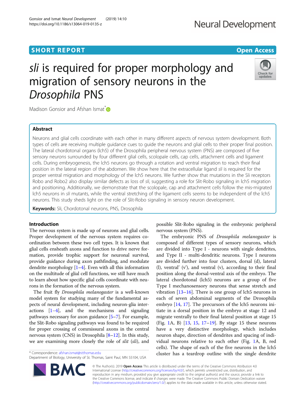 Sli Is Required for Proper Morphology and Migration of Sensory Neurons in the Drosophila PNS Madison Gonsior and Afshan Ismat*