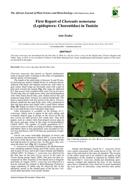 First Report of Choreutis Nemorana (Lepidoptera: Choreutidae) in Tunisia
