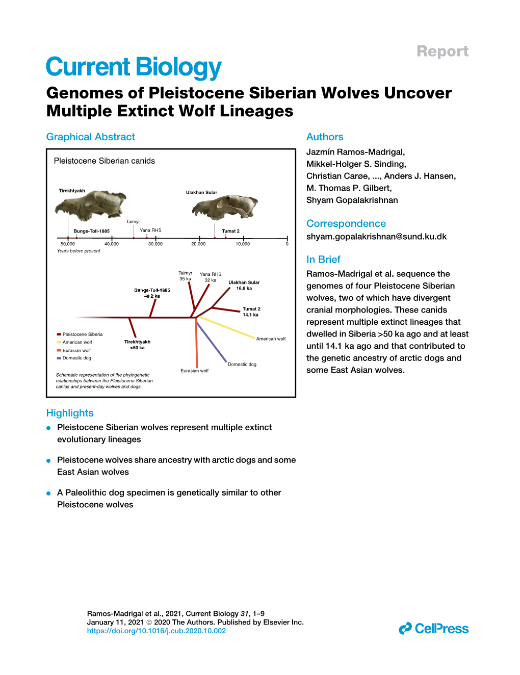 Genomes of Pleistocene Siberian Wolves Uncover Multiple Extinct Wolf Lineages