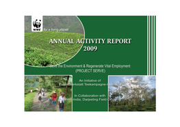 The Annual Report