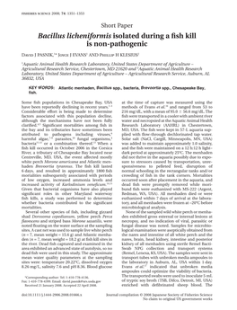 Bacillus Licheniformis Isolated During a Fish Kill Is Non-Pathogenic