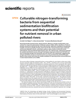 Culturable Nitrogen-Transforming Bacteria from Sequential