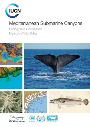Mediterranean Submarine Canyons Ecology and Governance Maurizio Würtz, Editor ABOUT IUCN