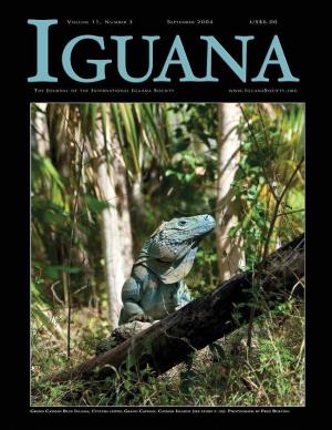 Iguana 11.3 B&W Text