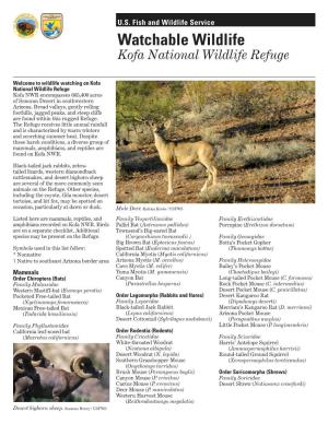 Watchable Wildlife Kofa National Wildlife Refuge