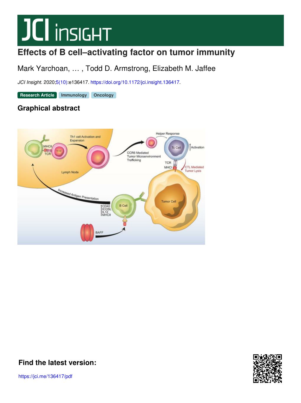 Effects of B Cell–Activating Factor on Tumor Immunity