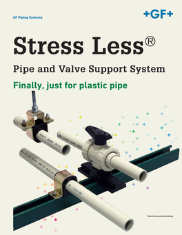 Pipe and Valve Support System Finally, Just for Plastic Pipe