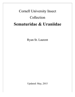 Sematuridae & Uraniidae