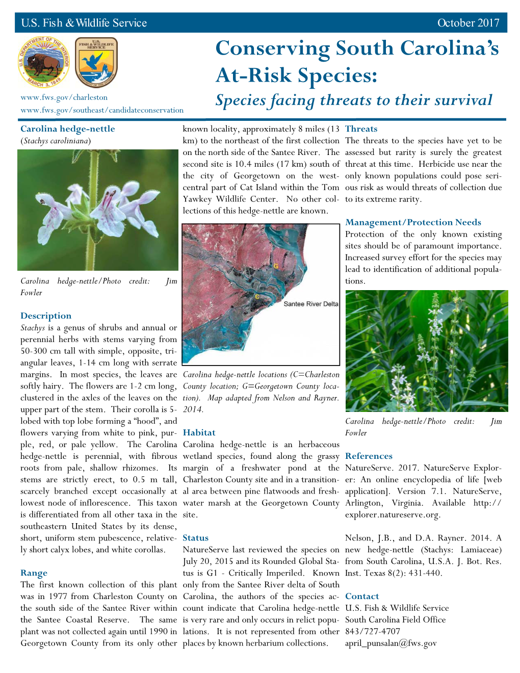 Carolina Hedge-Nettle Fact Sheet SC 2017.Pub