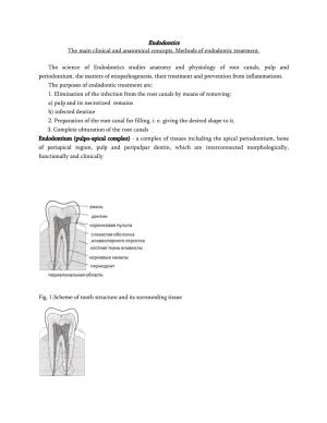 Endodontics the Main Clinical and Anatomical Concepts