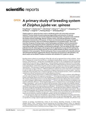 A Primary Study of Breeding System of Ziziphus Jujuba Var. Spinosa