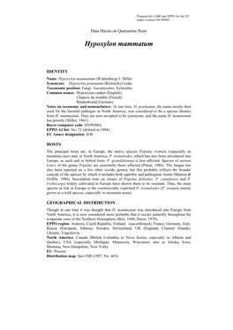 Data Sheet on Hypoxylon Mammatum