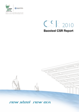 CSR Report 2010