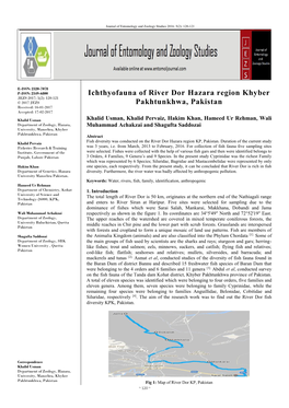 Ichthyofauna of River Dor Hazara Region Khyber Pakhtunkhwa, Pakistan