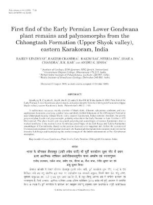 First Find of the Early Permian Lower Gondwana Plant Remains and Palynomorphs from the Chhongtash Formation (Upper Shyok Valley), Eastern Karakoram, India
