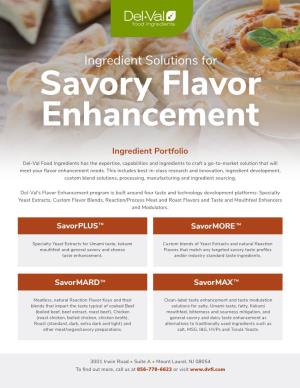 Ingredient Solutions for Savory Flavor Enhancement
