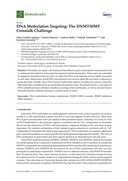 DNA Methylation Targeting: the DNMT/HMT Crosstalk Challenge