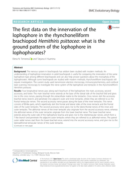 The First Data on the Innervation of The