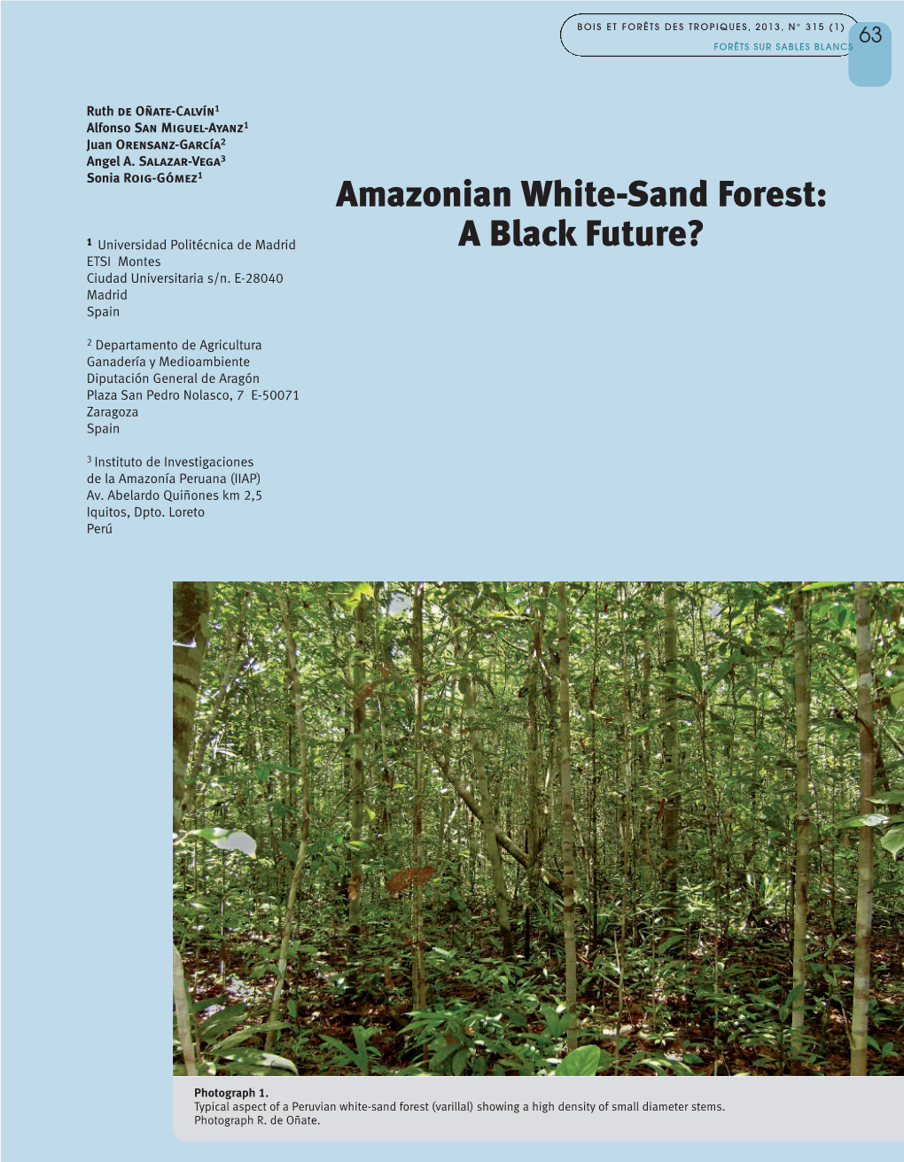 Amazonian White-Sand Forest