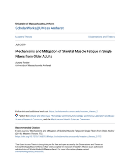 Mechanisms and Mitigation of Skeletal Muscle Fatigue in Single Fibers from Older Adults